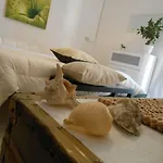 Casa Bella 3* 杰拉
